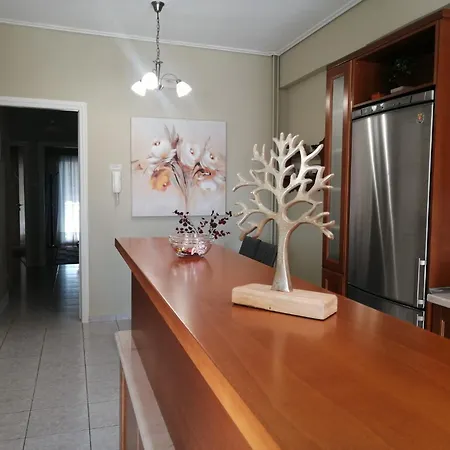 Apartment Central Home